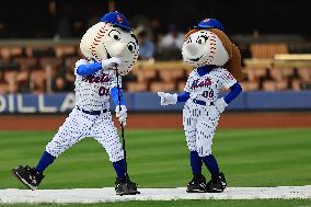 MLB Chicago Cubs Vs New York Mets