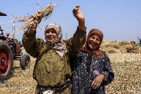 Egyptian Farmers