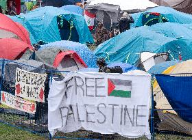 Pro-Palestinian protesters at McGill University campus encampment - Montreal
