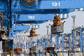 Qingdao Smart Port