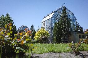 Botanical garden of Lviv National University
