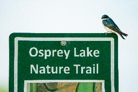 Wildlife At The Oxbow Nature Conservancy