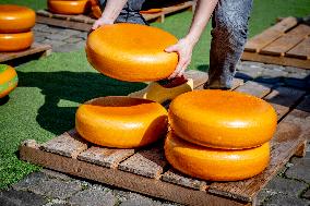 Gouda Cheese Market - Netherlands