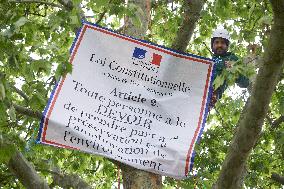 Toulouse: Action Against The Cutting Of A London Plane Tree
