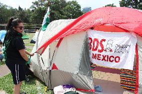 Pro-Palestinian Students Camp Out - Mexico City