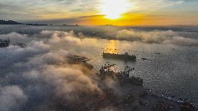 Container Terminal Under Heavy Fog at Qingdao Port