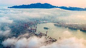 Container Terminal Under Heavy Fog at Qingdao Port