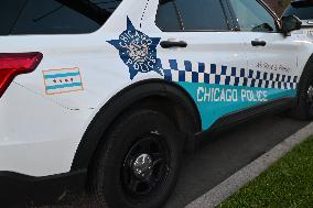 49-year-old Male Shot And Killed In Chicago Illinois