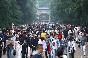 Tourists Visit The Mausoleum of Sun Yat-sen Scenic Spot in Nanjing