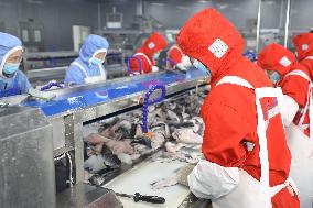 Food Producing in China