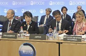 OECD Council meeting