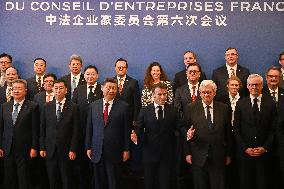 Sixth Meeting Of The Franco-Chinese Business Council - Paris