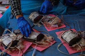 Blood Donation Camp In Kashmir
