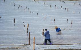 Farmers Install Net Cages In Anqing