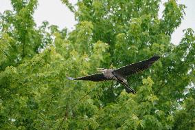 Wildlife At The Oxbow Nature Conservancy