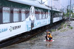 CHINA-GUIYANG-LAOS-PANDA TRAIN (CN)