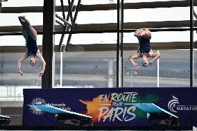 International Diving Championship in Paris 2024 FA