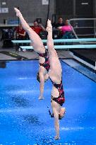 International Diving Championship in Paris 2024 FA