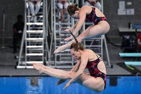 International Diving Championship in Paris 2024 FA