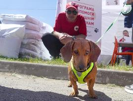 Red Cross representatives distribute food for animals rescued from occupation in Cherkasy