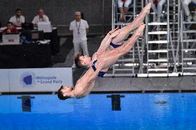 International Diving Championship in Paris 2024 FA