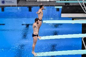 International Diving Championship in Paris 2024 FA