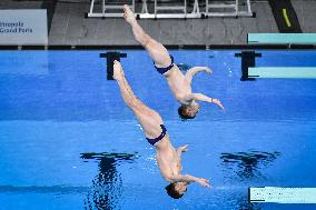 International Diving Championship in Paris 2024 FA