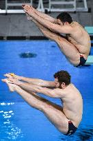 International Diving Championship in Paris 2024 FA