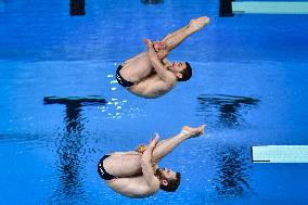 International Diving Championship in Paris 2024 FA