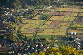 Image of farmhouses, mountain ranges, rice paddies, and fields