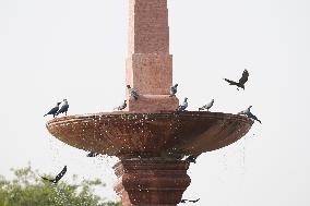 Hot Summer Day In Delhi, India