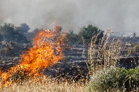 Wildfire In Ipsonas