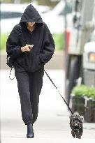 Irina Shayk Walking Her Dog - NYC