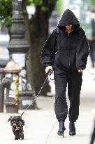 Irina Shayk Walking Her Dog - NYC
