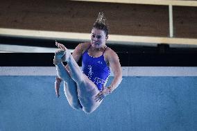 International Diving Championship in Paris 2024 FA