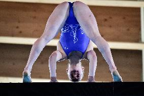 International Diving Championship in Paris 2024 FA