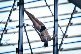 International Diving Championship in Paris 2024 FA