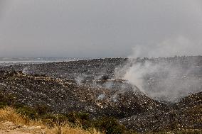 Cyprus : Wildfire Aftermath