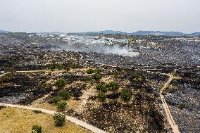 Cyprus : Wildfire Aftermath