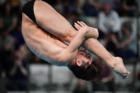 International Diving Championship in Paris 2024 FA