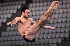 International Diving Championship in Paris 2024 FA