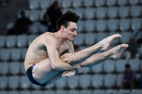 International Diving Championship in Paris 2024 FA