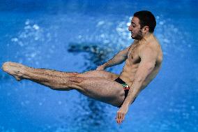 International Diving Championship in Paris 2024 FA