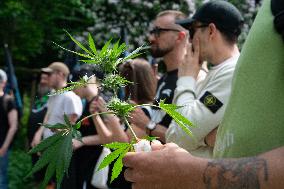 Cannabis March In Duesseldorf