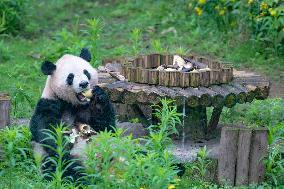 Chongqing Zoo