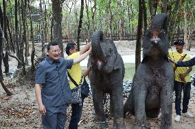 CAMBODIA-TAKEO-LAOS-ELEPHANTS-HANDOVER CEREMONY