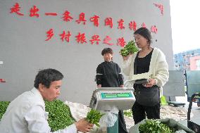 (FujianPano) CHINA-FUJIAN-TEA INDUSTRY (CN)
