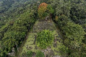 The Gunung Padang Pyramid Site In Indonesia