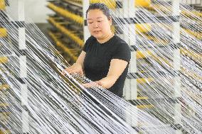 A New Materials Company in Huzhou