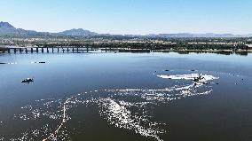 Yanghe River Ecological Restoration in Zhangjiakou